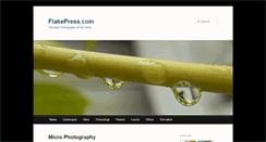 Desktop Screenshot of flakepress.com